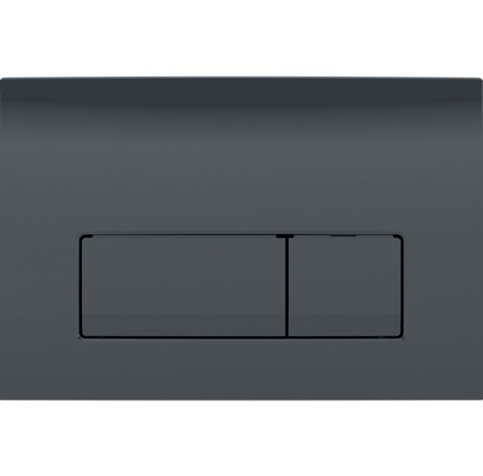 Кнопка зливу Delta50 115.119.DW.1 чорний Geberit