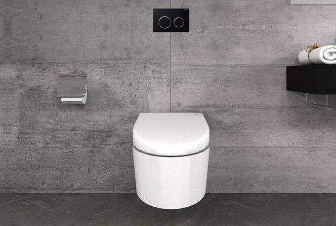 Кнопка зливу Omega 20 115.085.KM.1 чорний Geberit