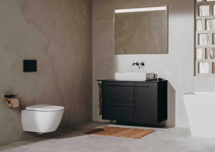 Крышка для унитаза Ona soft-close A801E22002 Roca