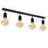 Світильник стельовий (спот) Chime L60-4 Black