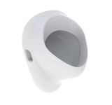 Пісуар Felix 502.895.00.1 Geberit