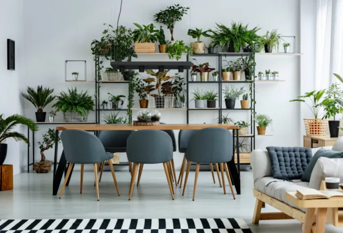 Подвесной светильник Nowodvorski PLANT BLACK