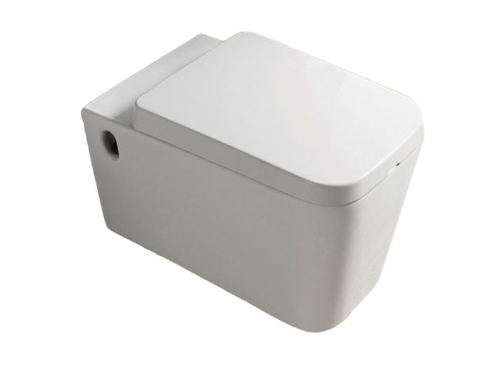 Підвісний унітаз із сидінням NEWARC Aqua, білий