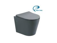 Подвесной унитаз ASIGNATURA Axiom Rimless с сиденьем, серый матовый 