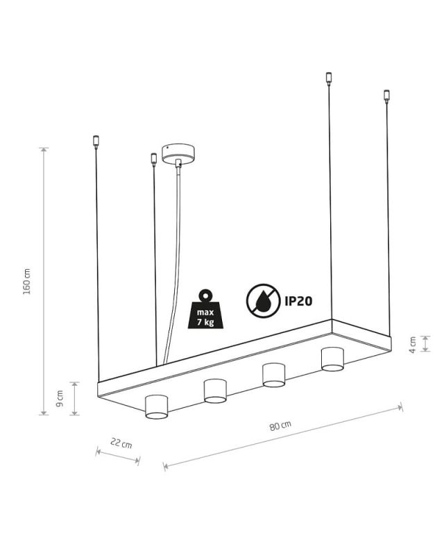 Подвесной светильник Nowodvorski PLANT BLACK