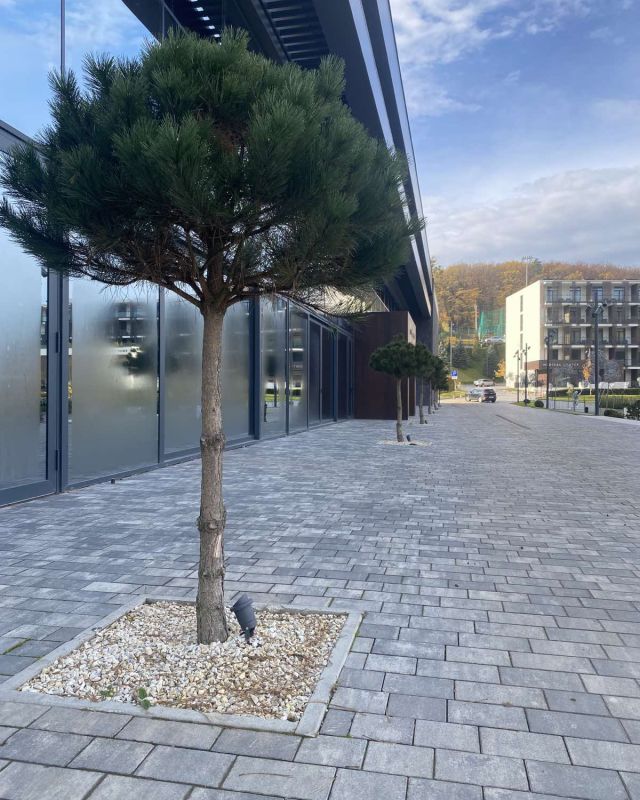 Уличный светильник Nowodvorski BUSH