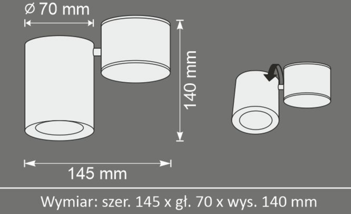 Точечный светильник Goldlux Hobro GU10 1x10W IP20 WH