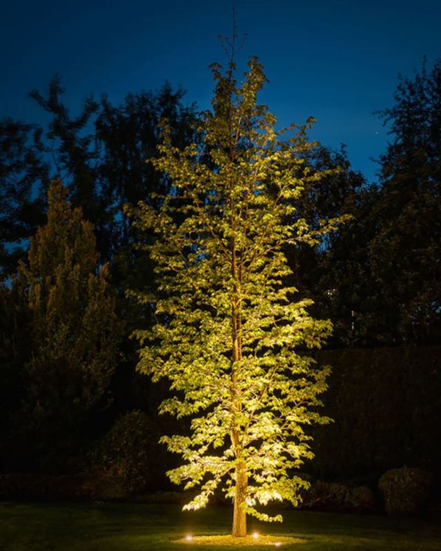 Вуличний світильник Nowodvorski PICCO LED L