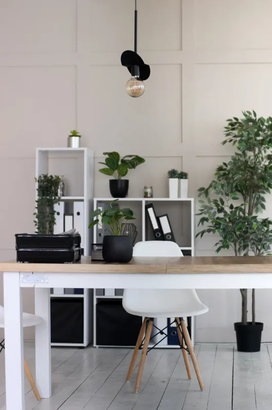 Світильник підвісний (люстра) Bird P170 Black