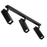 Світильник стельовий (спот) Pelikan Q L180-3 Black