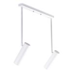 Світильник стельовий (спот) Pelikan С180-2 White