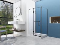 Душевая кабина 120*80 б/п, проф.черн.мат, стекло прозрачное(8 мм), распашная ASIGNATURA Vik